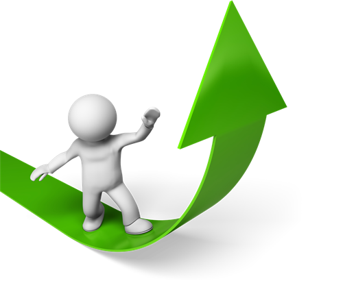 case study profiting from a niche site